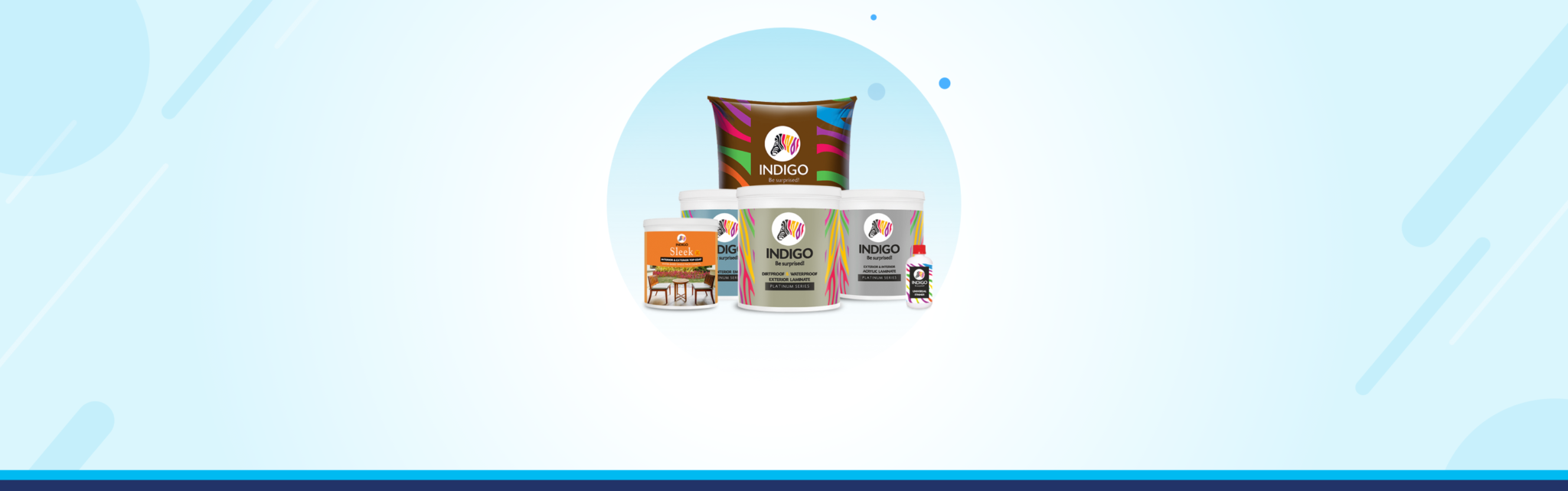 Indigo Paints IPO Details Overview, Issue Dates, Price & Details